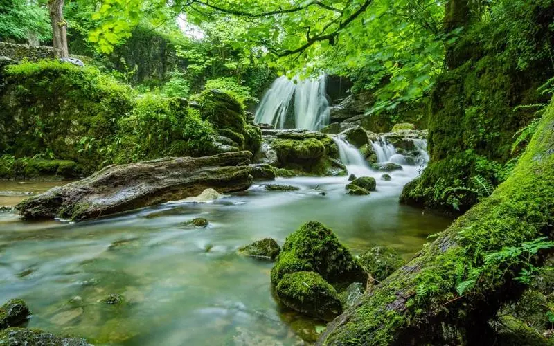智慧城市自动化自动化